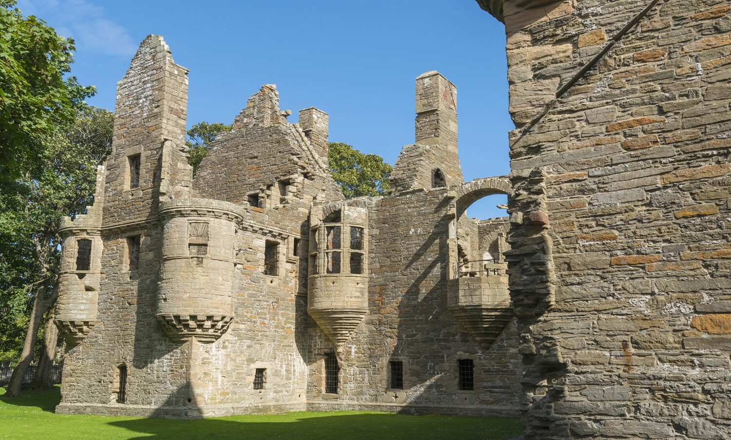 Orkney Explorer Kirkwall – Rabbies