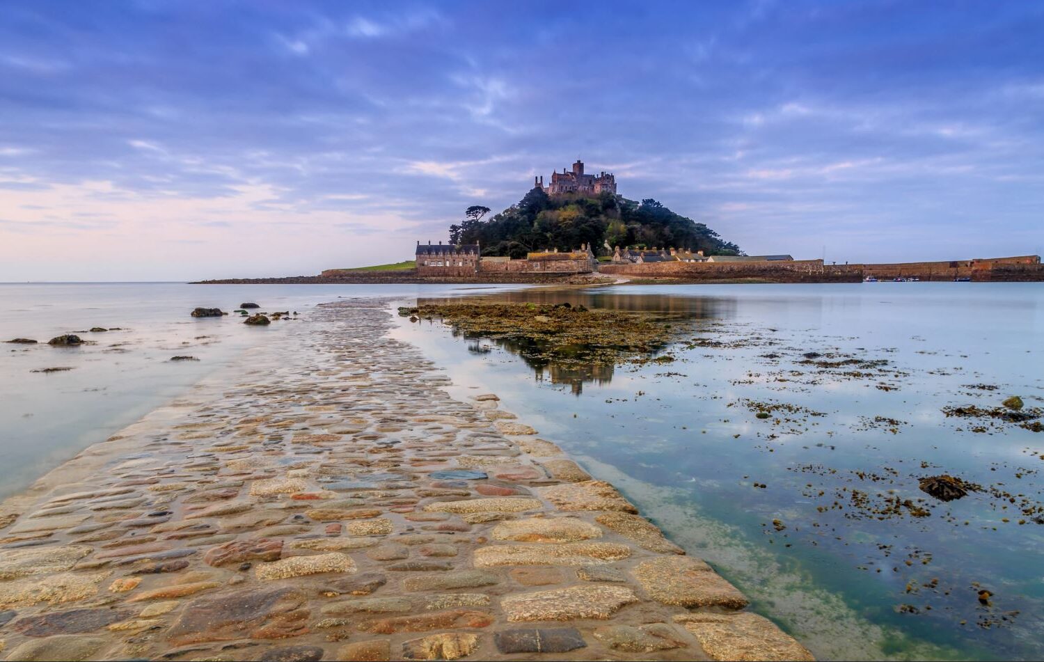 Devon & Cornwall St Michael Mount – Rabbies