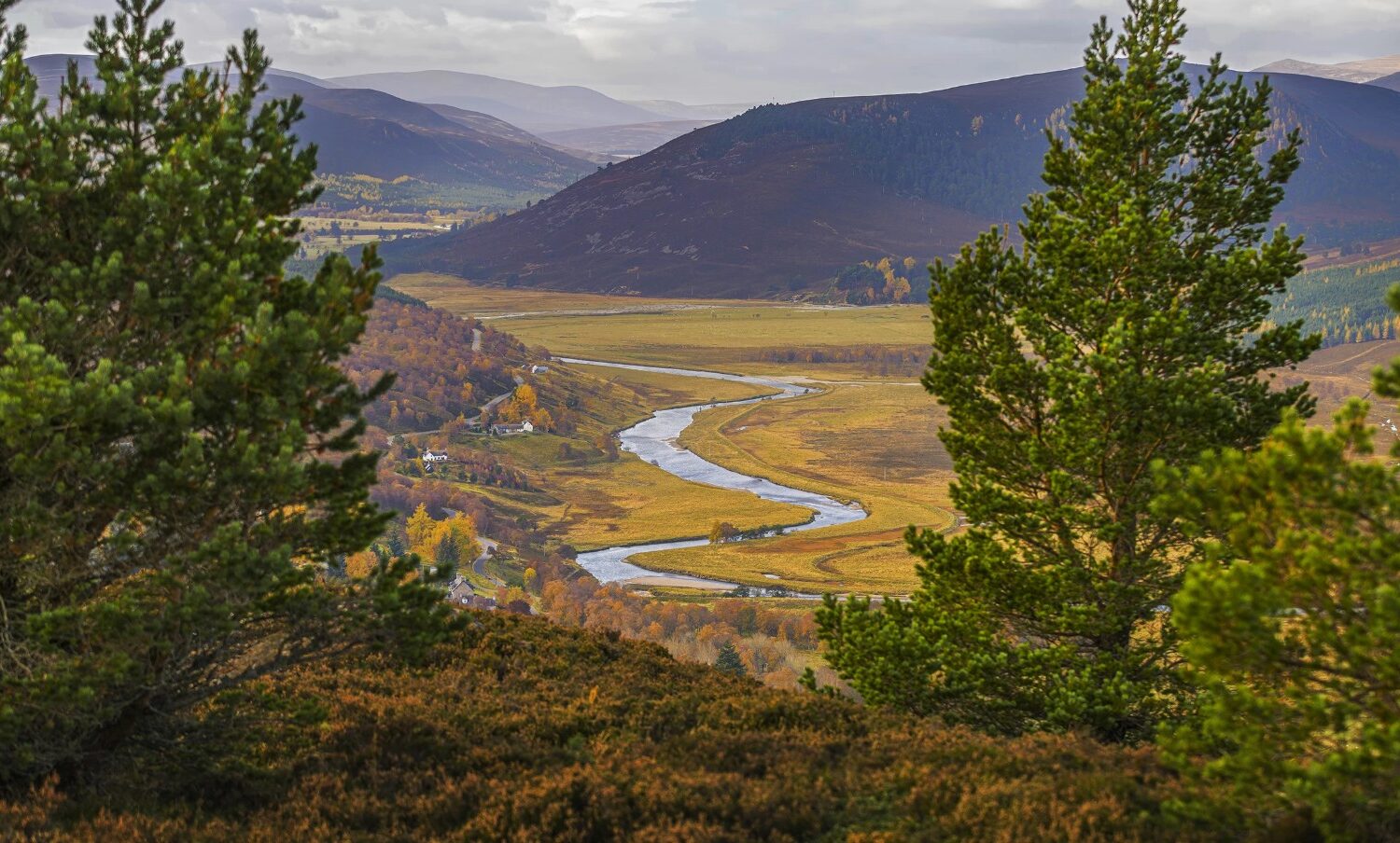 Outer Hebrides & the Scottish Highlands Royal Deeside – Rabbies