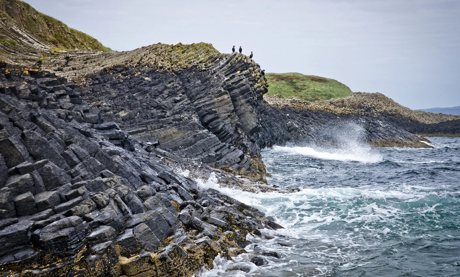 Scottish Island Highlights Isle of Staffa – Rabbies