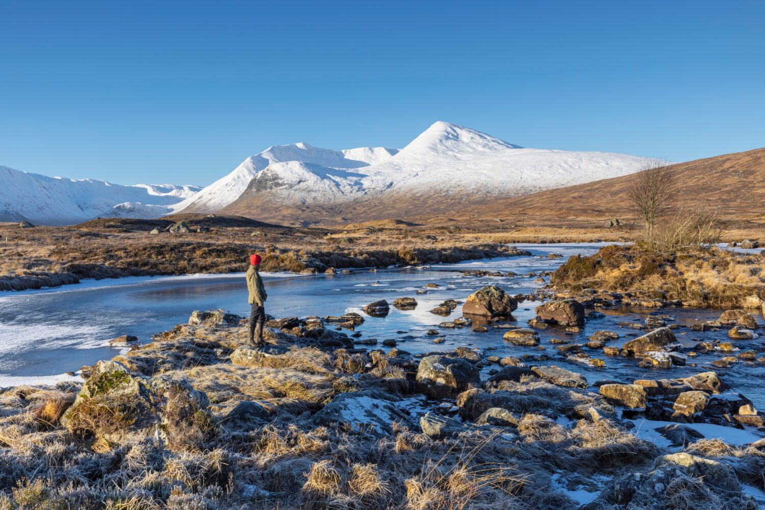Orkney & Northern Coast Rannoch Moor – Rabbies