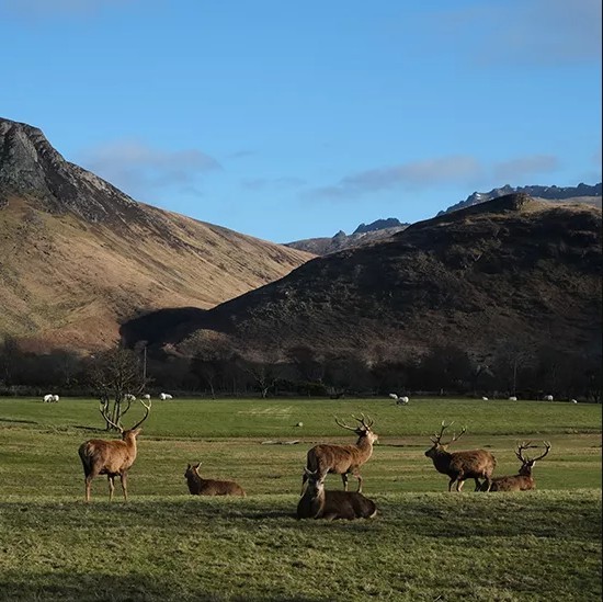 Scotland Lochs and Landscapes Arran – BRT