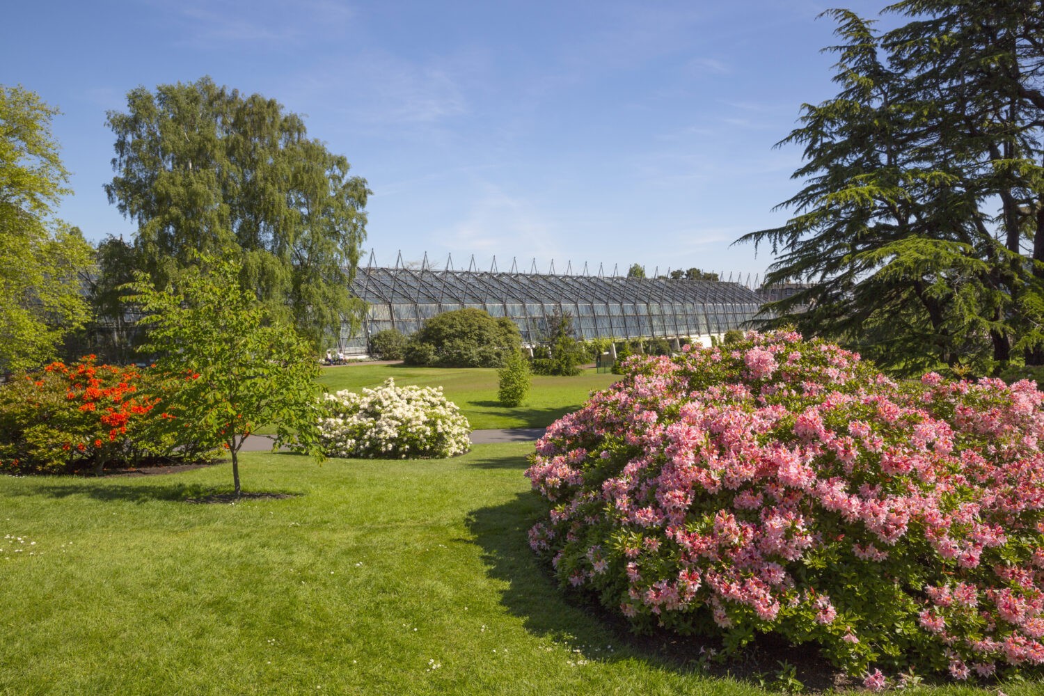 The Royal Botanic Garden Edinburgh