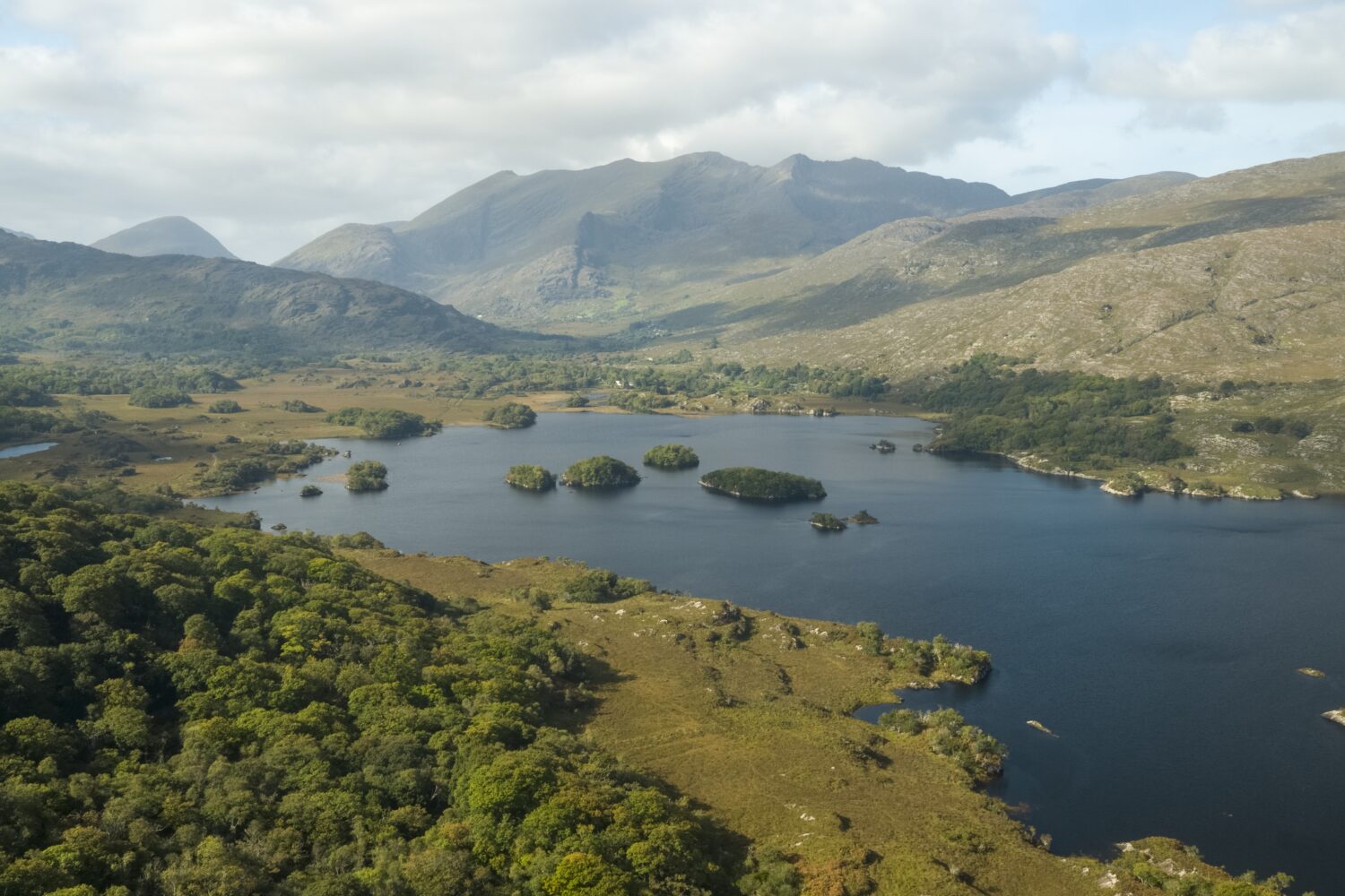 Ring Of Kerry Killarney Park – RTI