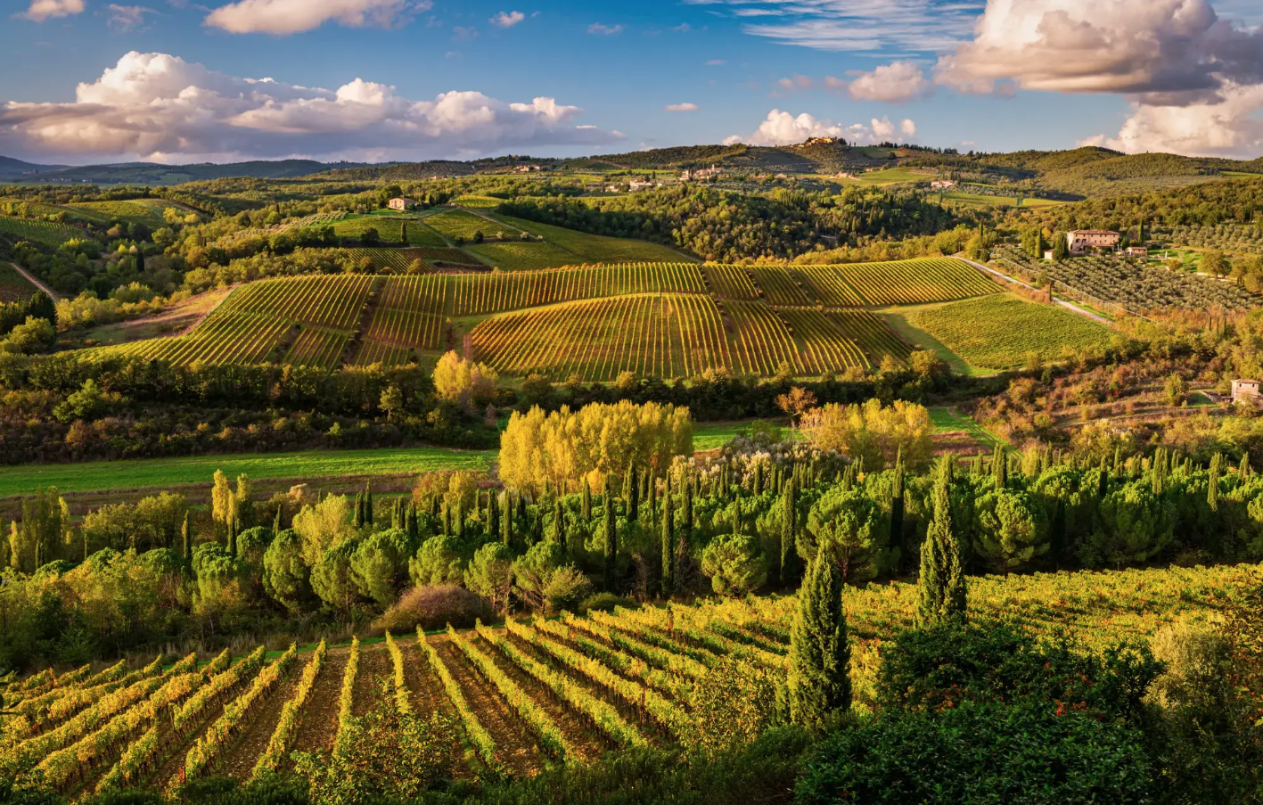Treasure of Tuscany Chianti – Rabbies